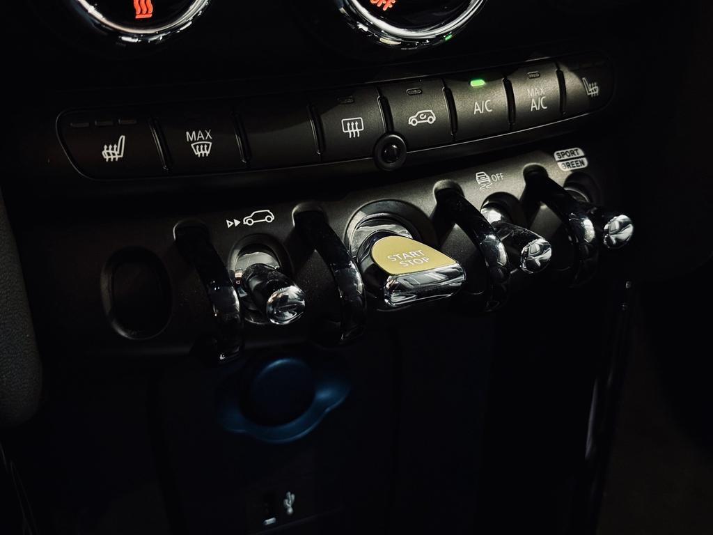 Mini Mini Electric