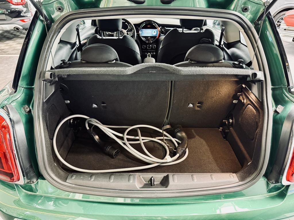 Mini Mini Electric