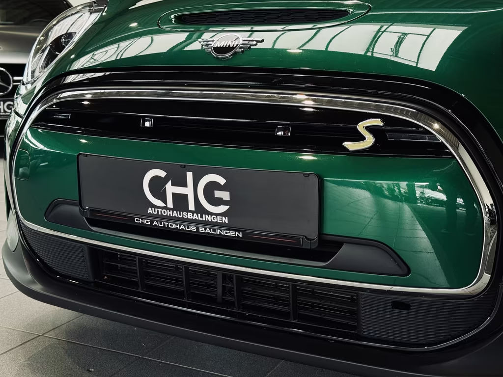 Mini Mini Electric