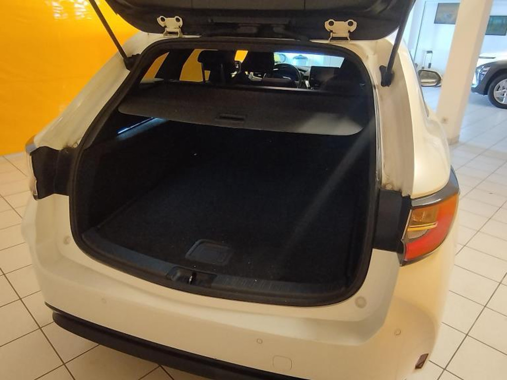 Suzuki Swace