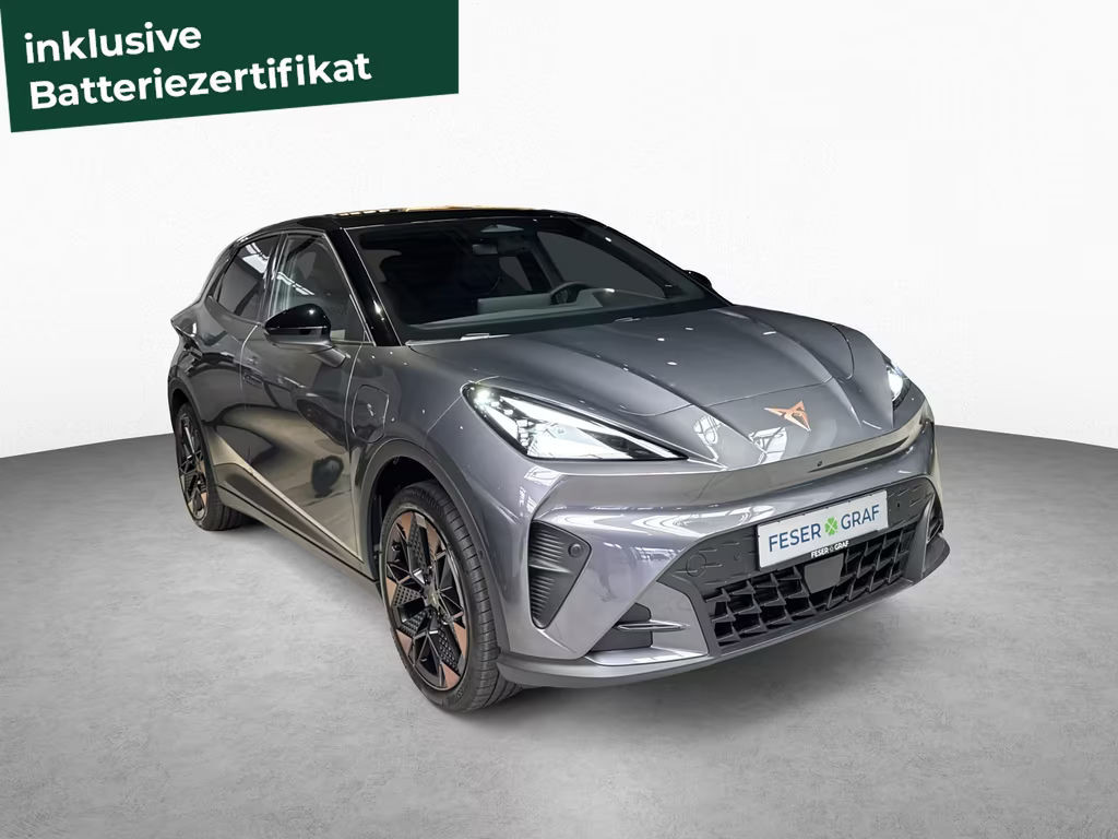 Cupra Raval Dynamic