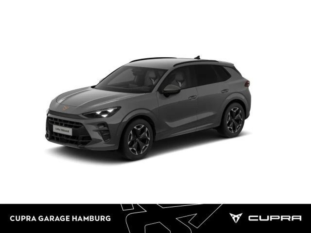 Cupra Terramar 2.0 TSI