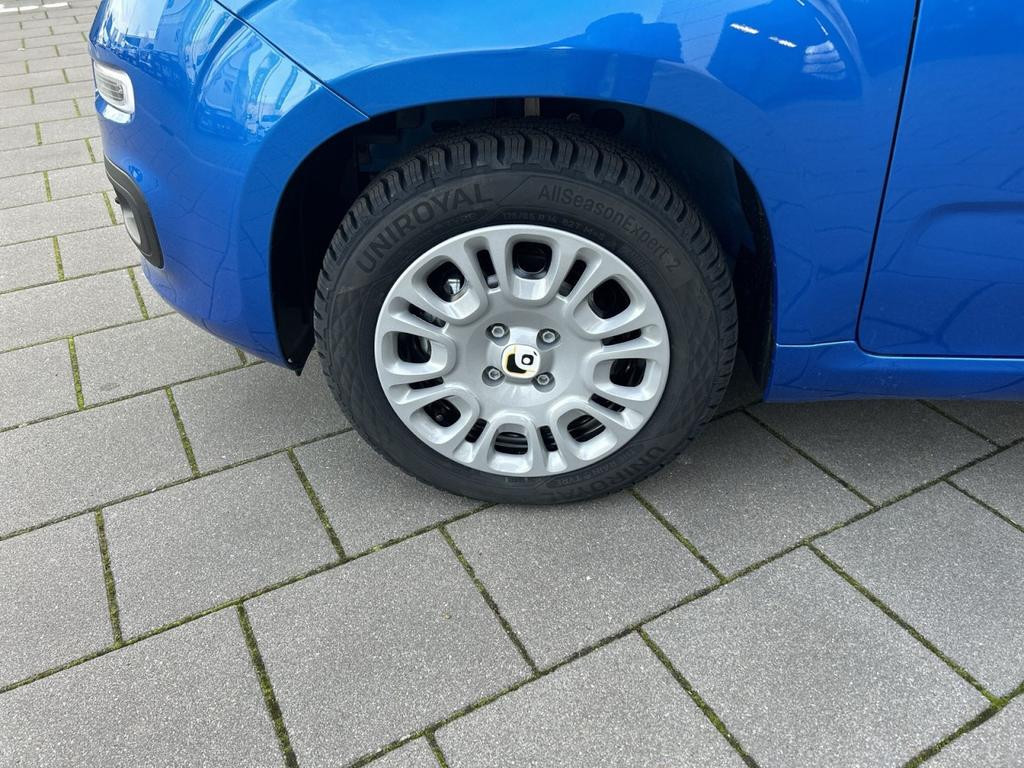 Fiat Pandina