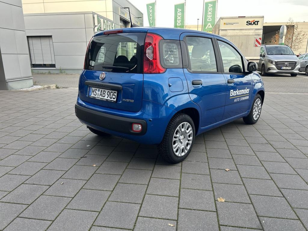 Fiat Pandina
