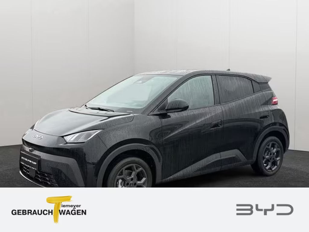 BYD Dolphin Comfort