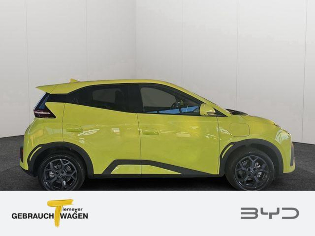 BYD Dolphin