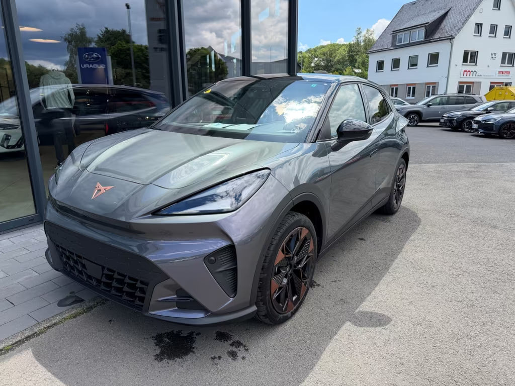 Cupra Raval