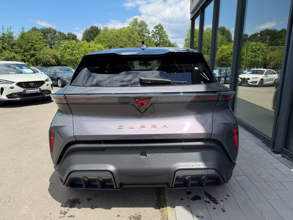 Cupra Raval