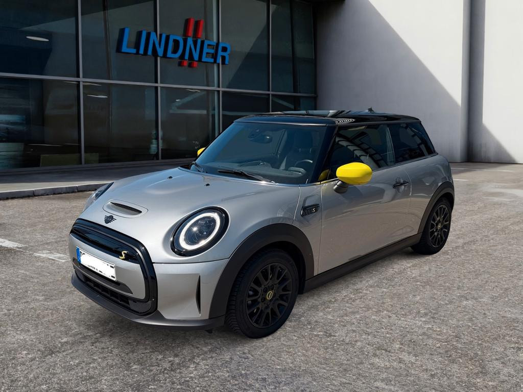 Mini Mini Electric