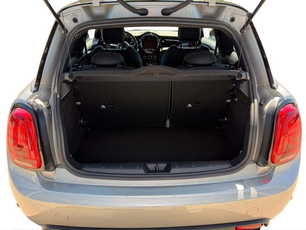 Mini Mini Electric