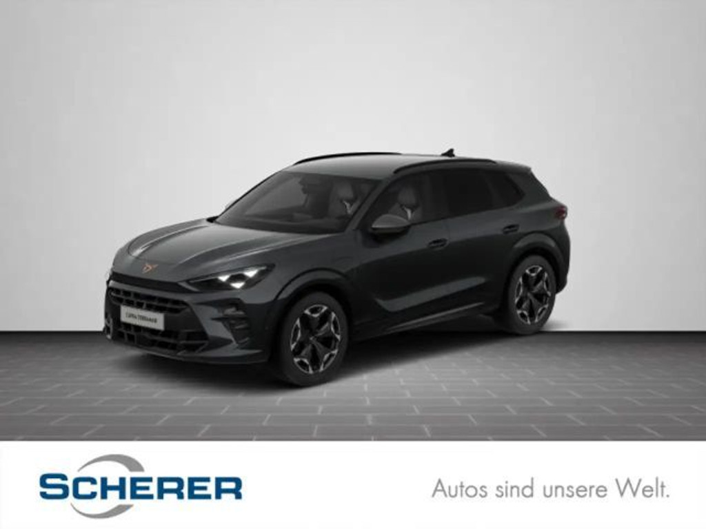 Cupra Terramar VZ