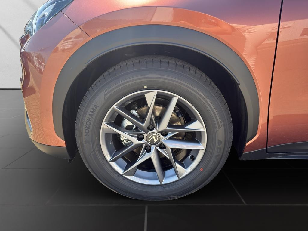 Lexus LBX