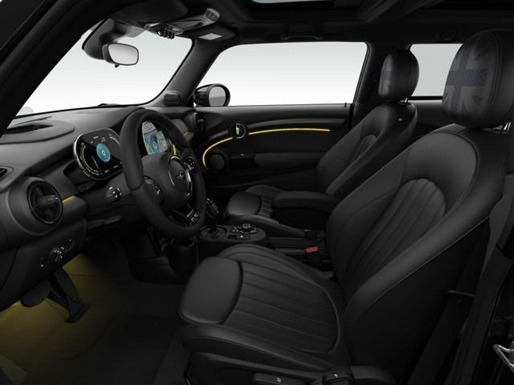Mini Mini Electric