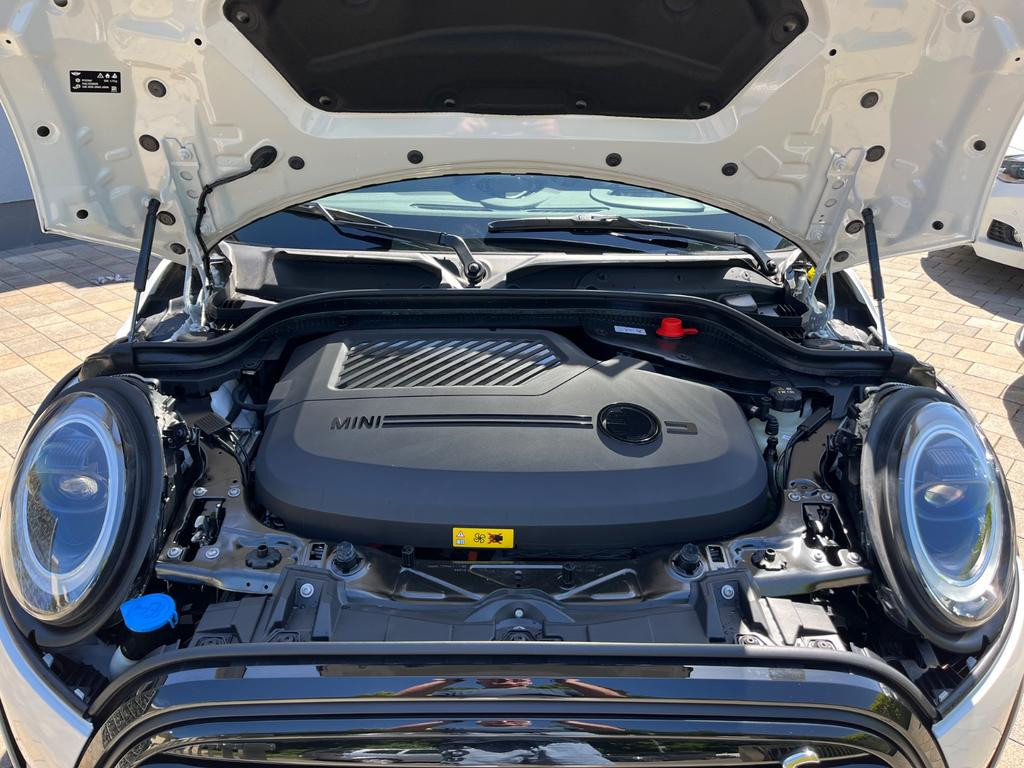 Mini Mini Electric