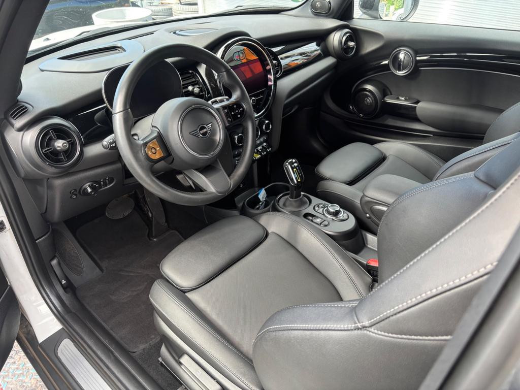 Mini Mini Electric