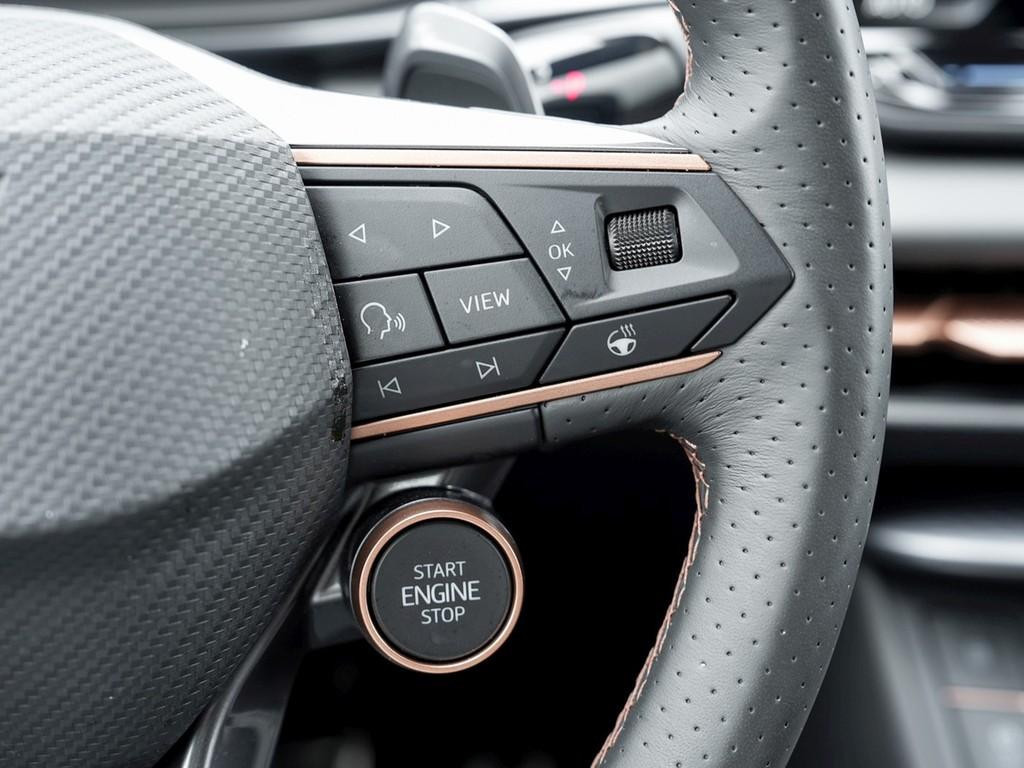 Cupra Terramar