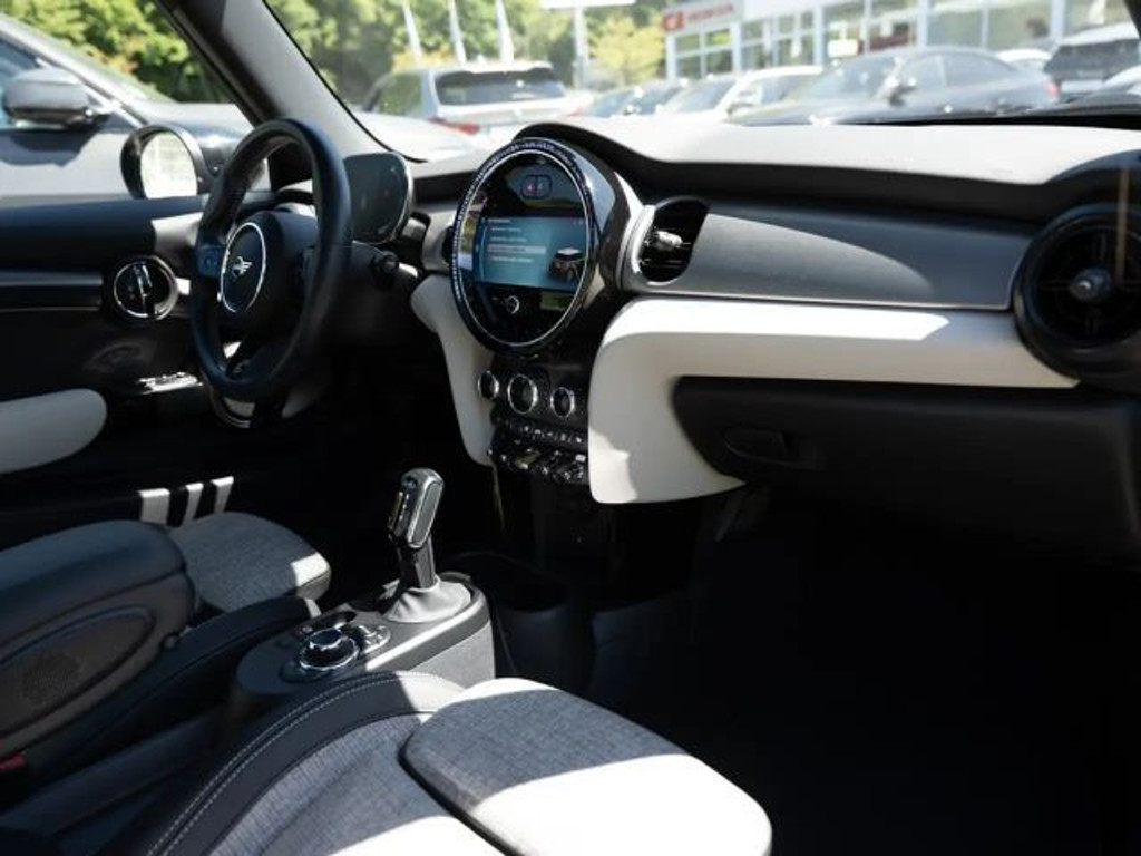 Mini Mini Electric