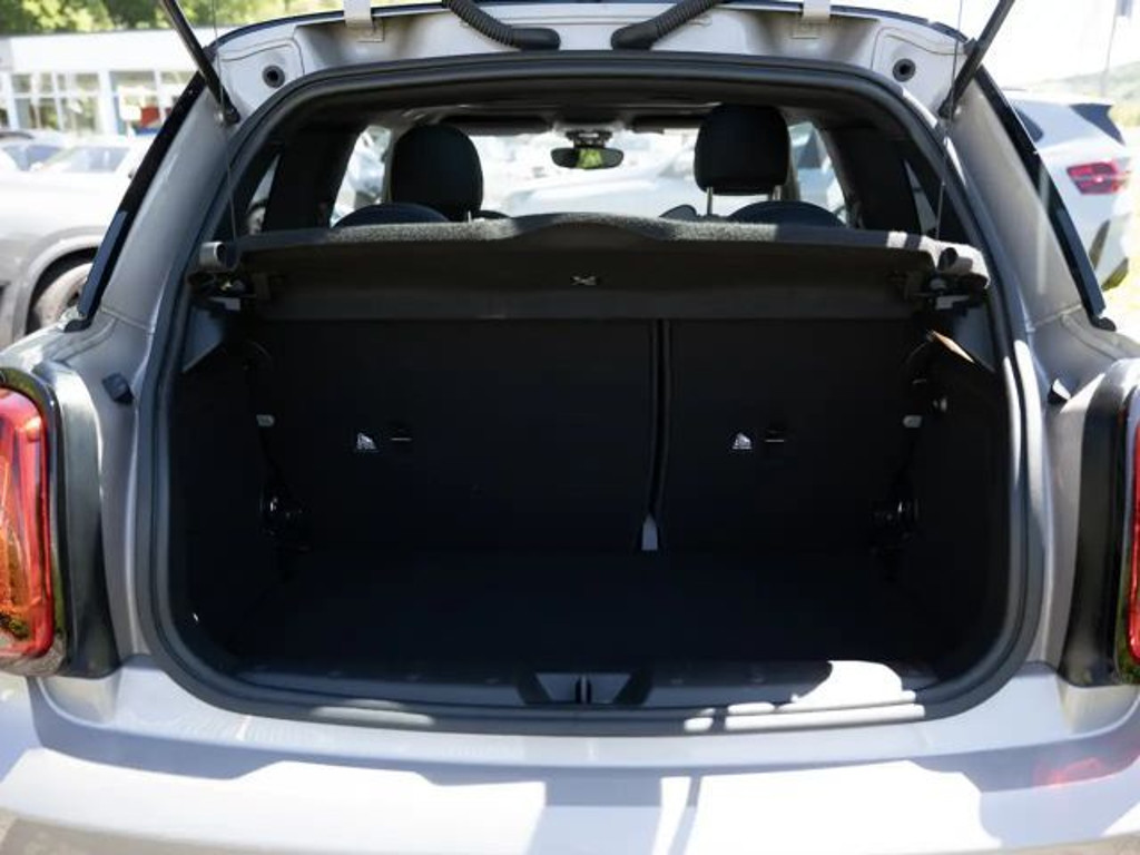 Mini Mini Electric
