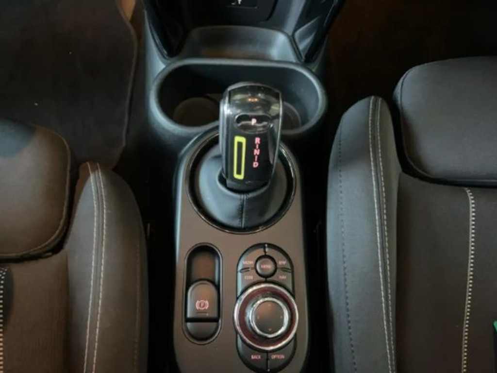 Mini Mini Electric