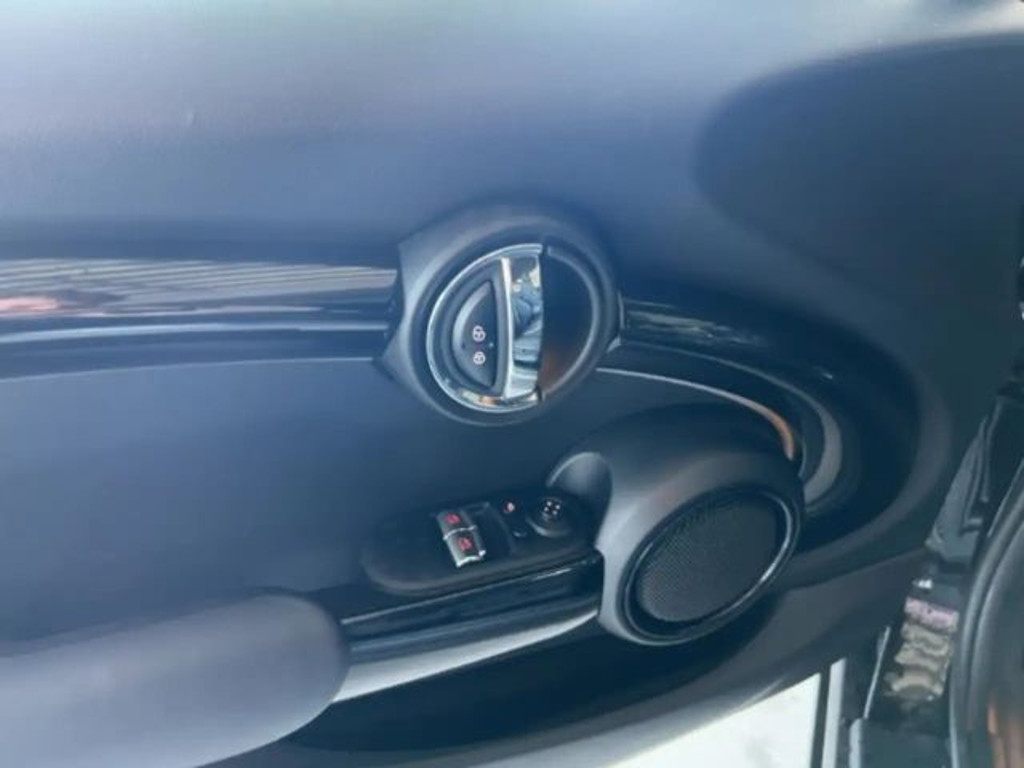 Mini Mini Electric