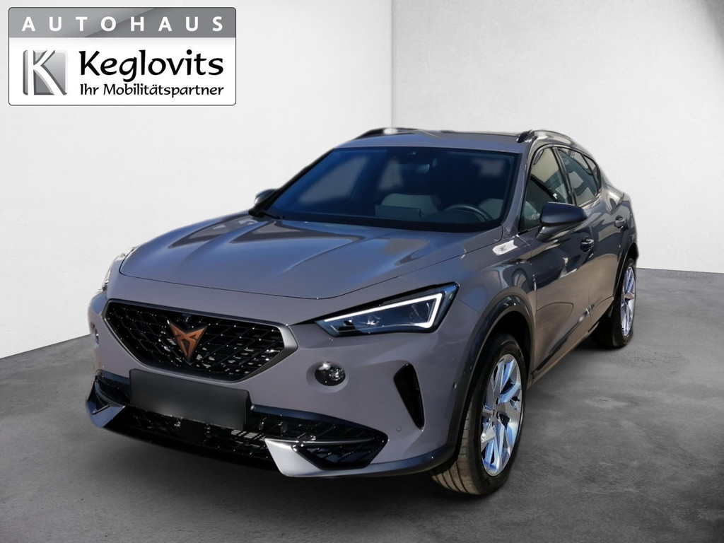 Cupra Formentor 4Drive 2.0 TSI DSG
