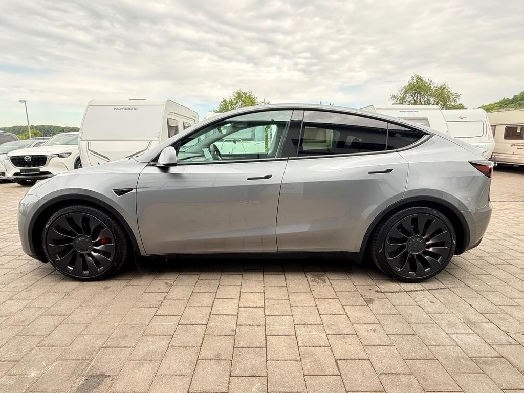 Tesla Model Y Performance