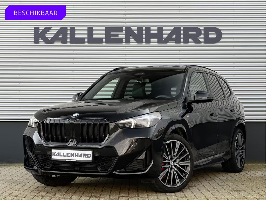 BMW X1 M-Sport Executive High Executive sDrive18i