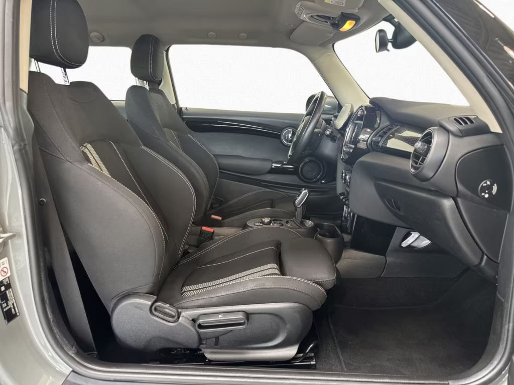 Mini Mini Electric