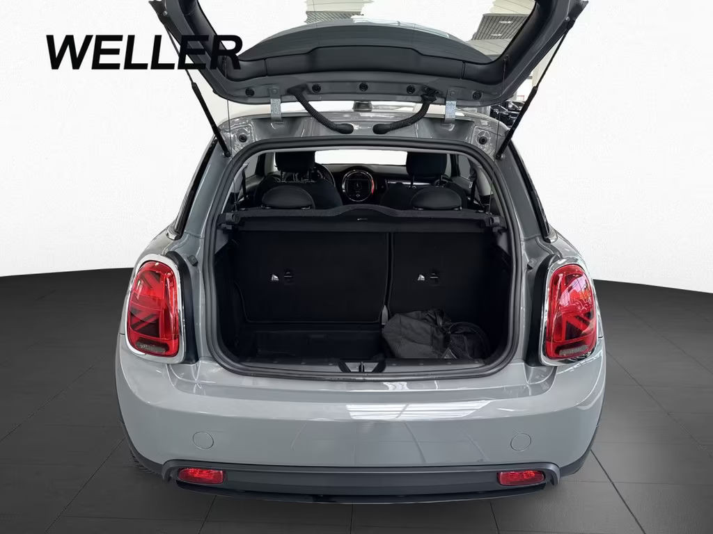 Mini Mini Electric
