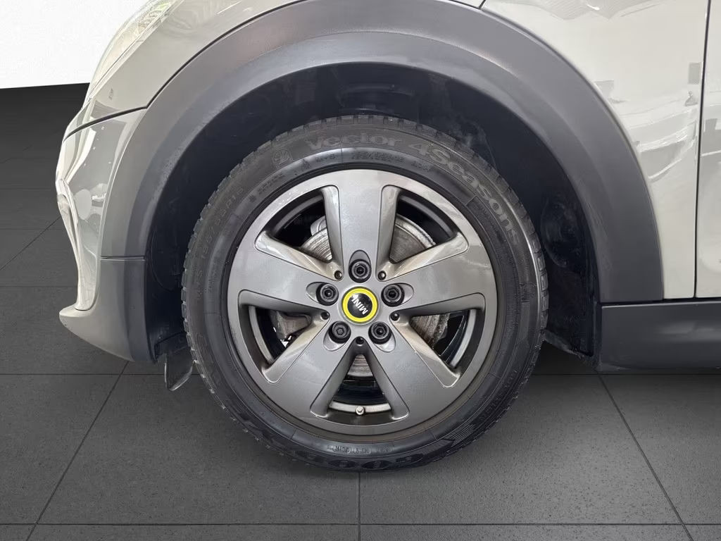 Mini Mini Electric
