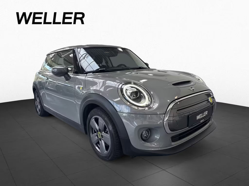 Mini Mini Electric