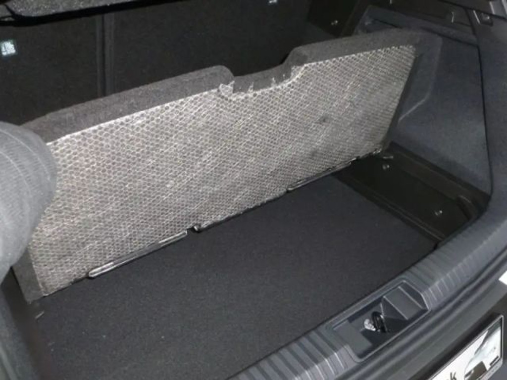 Mitsubishi Grandis