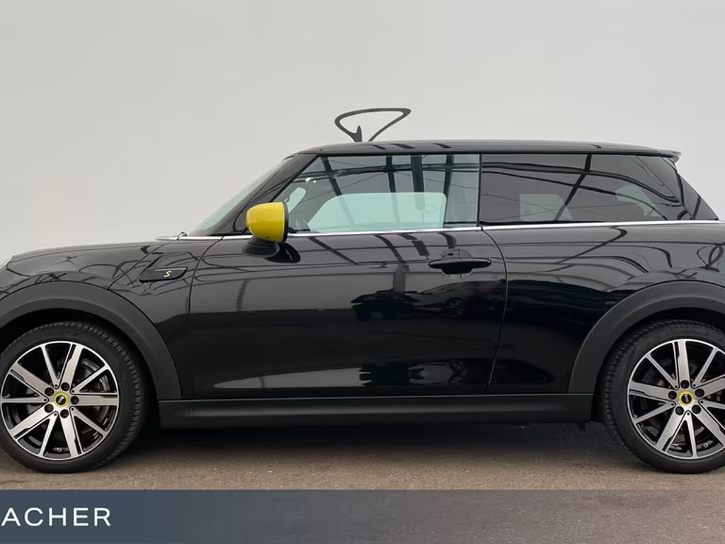 Mini Mini Electric
