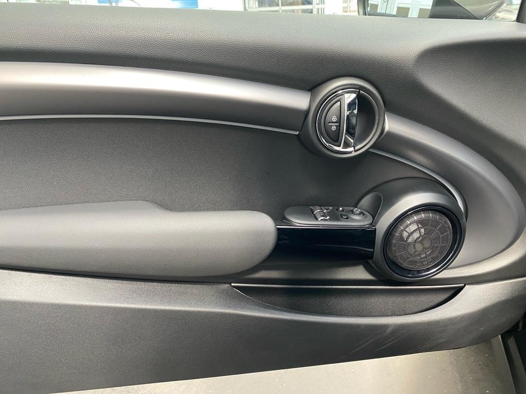 Mini Mini Electric