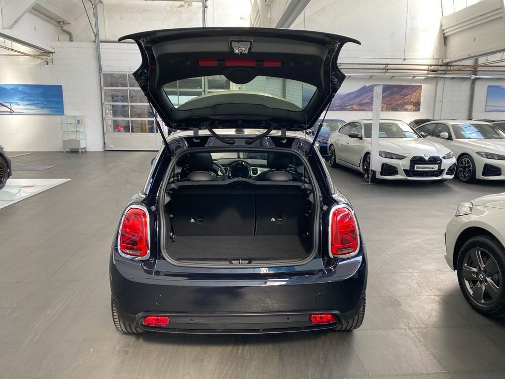 Mini Mini Electric