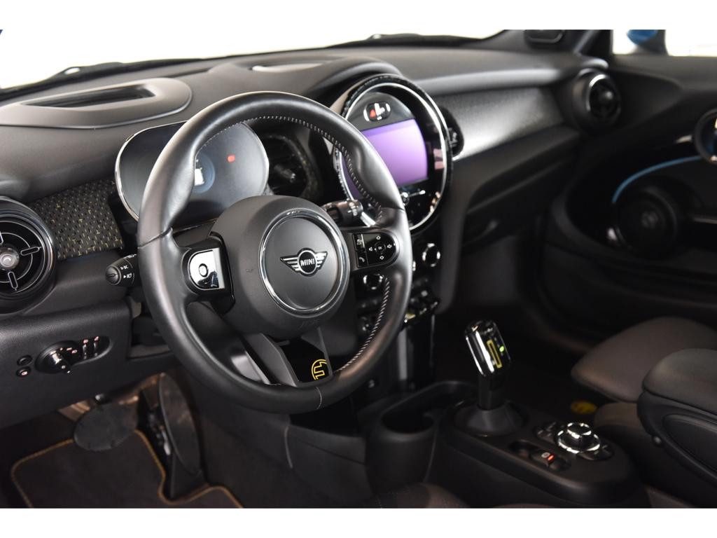 Mini Mini Electric