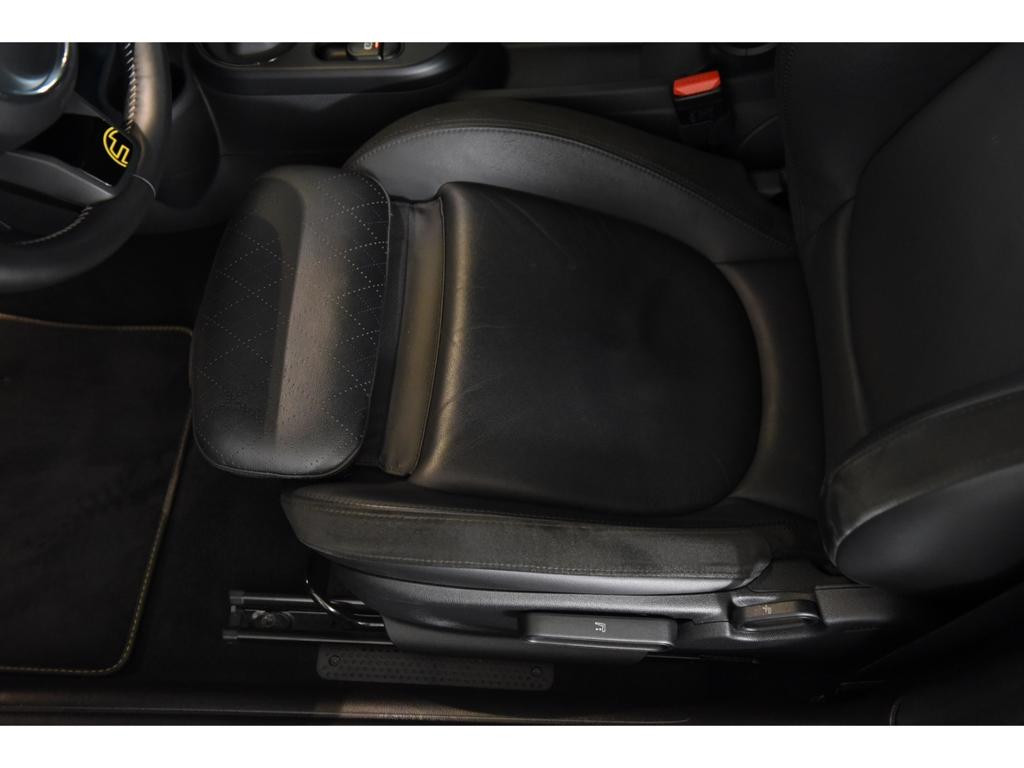 Mini Mini Electric