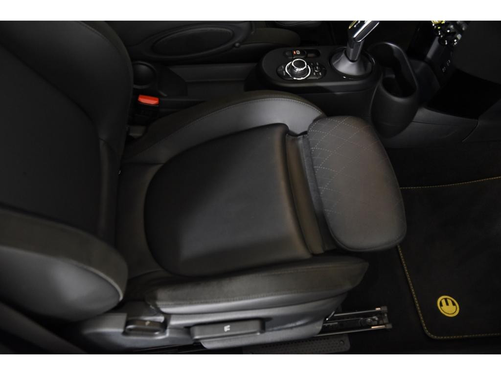 Mini Mini Electric