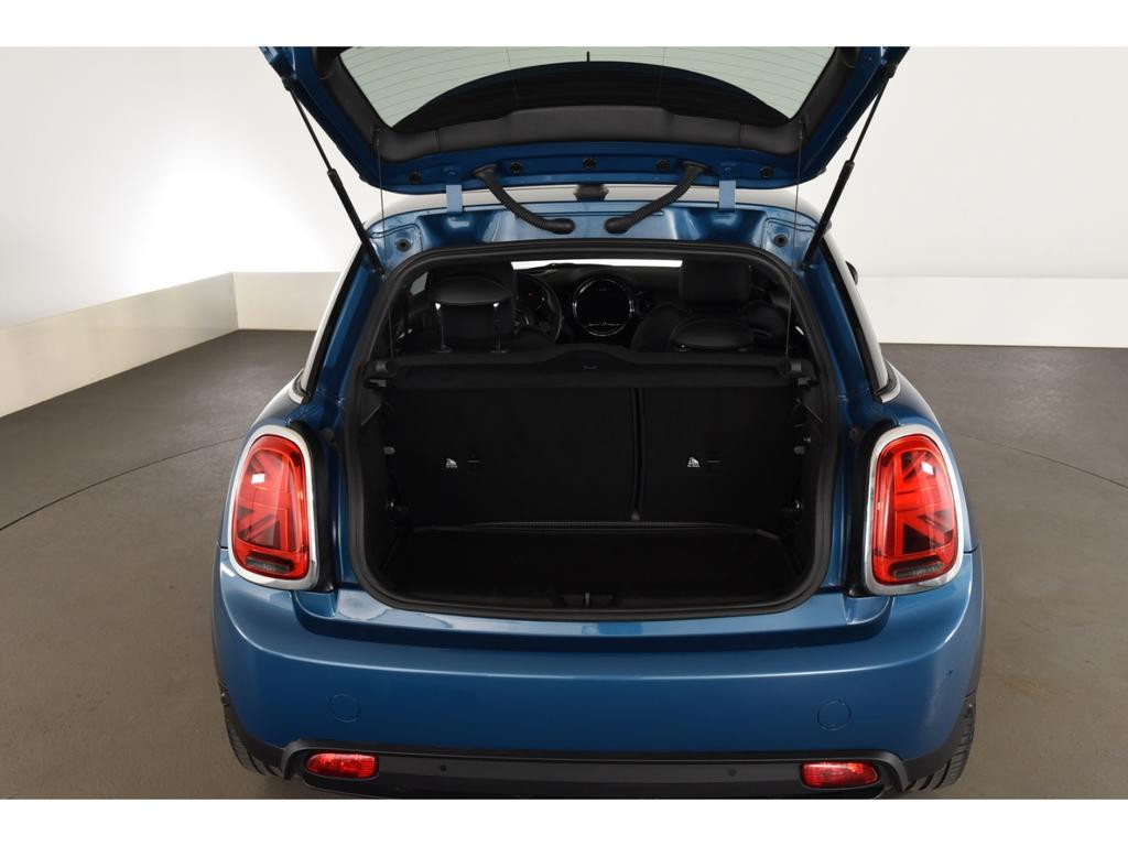 Mini Mini Electric