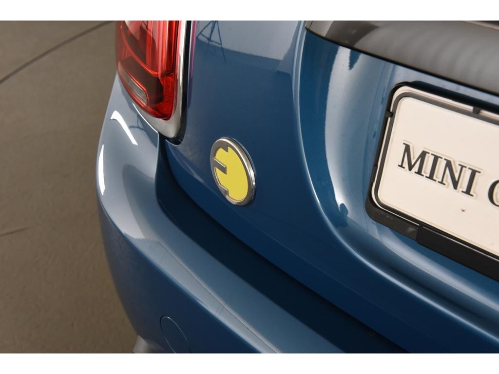 Mini Mini Electric