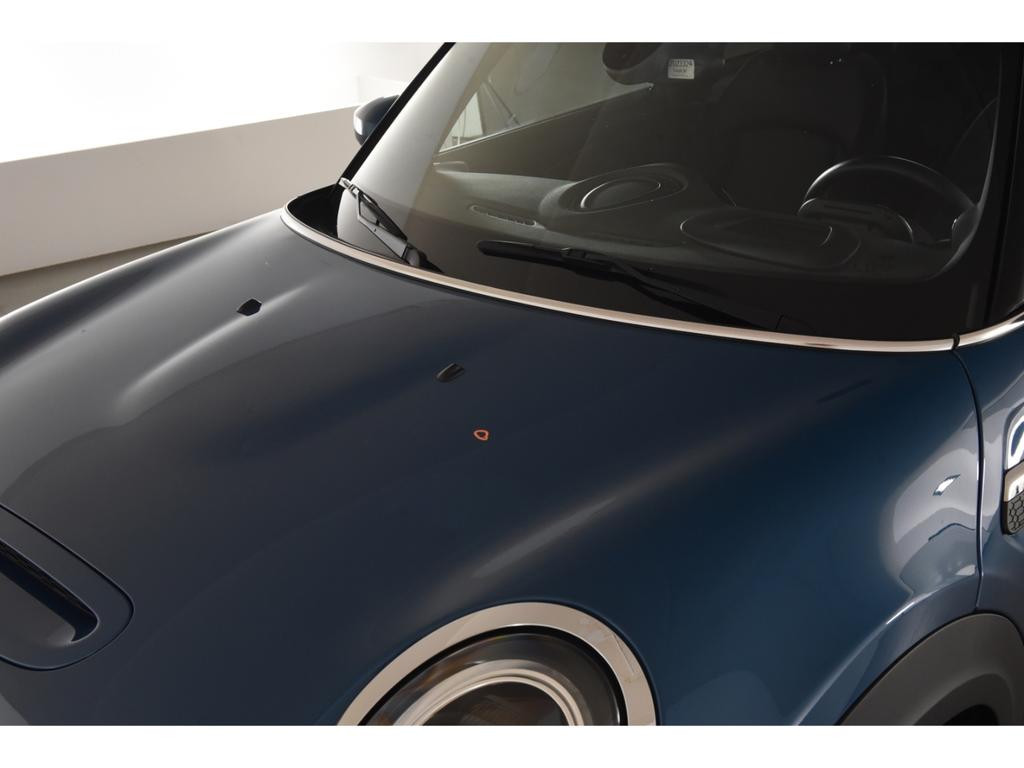 Mini Mini Electric