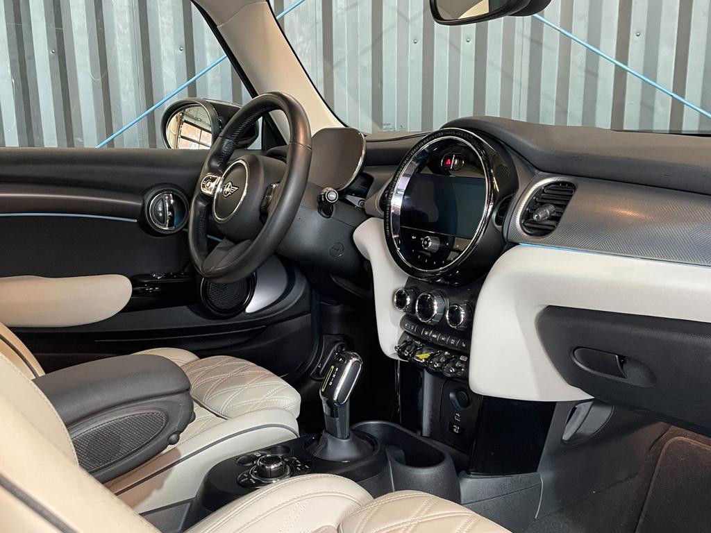 Mini Mini Electric