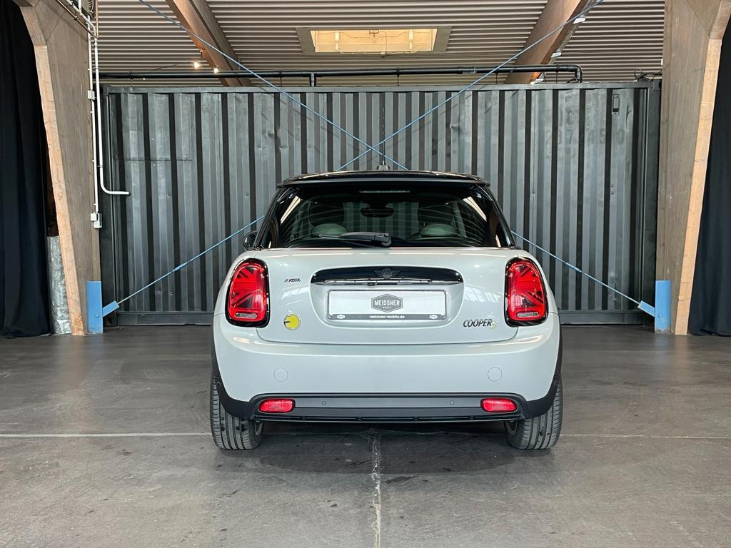 Mini Mini Electric