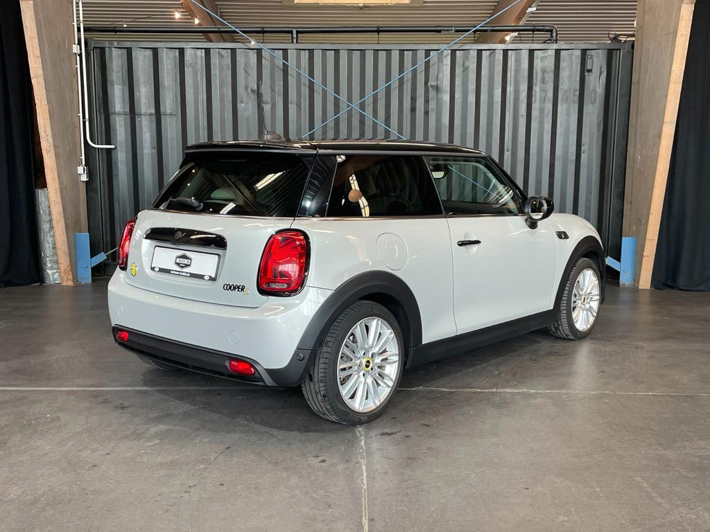 Mini Mini Electric