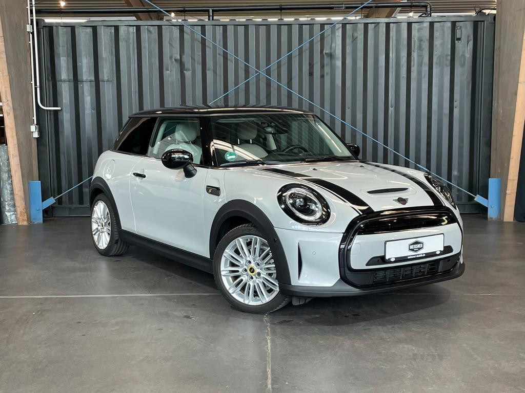 Mini Mini Electric