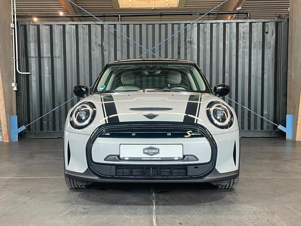 Mini Mini Electric