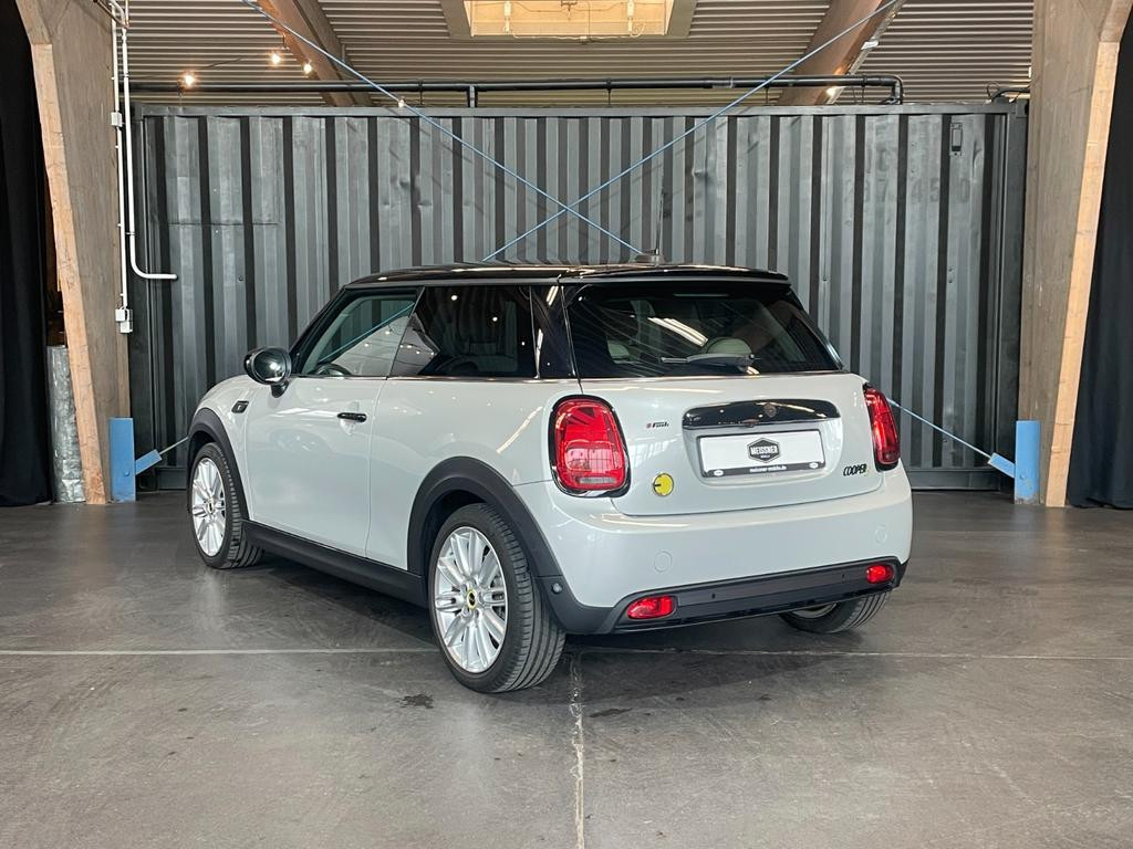 Mini Mini Electric