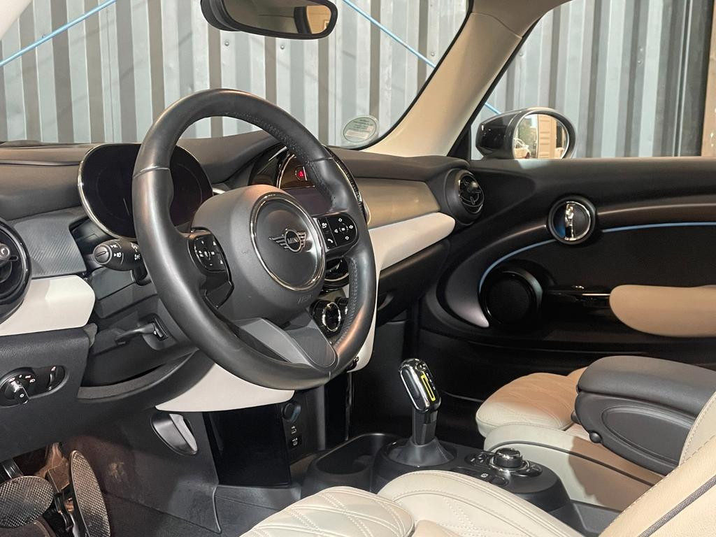 Mini Mini Electric