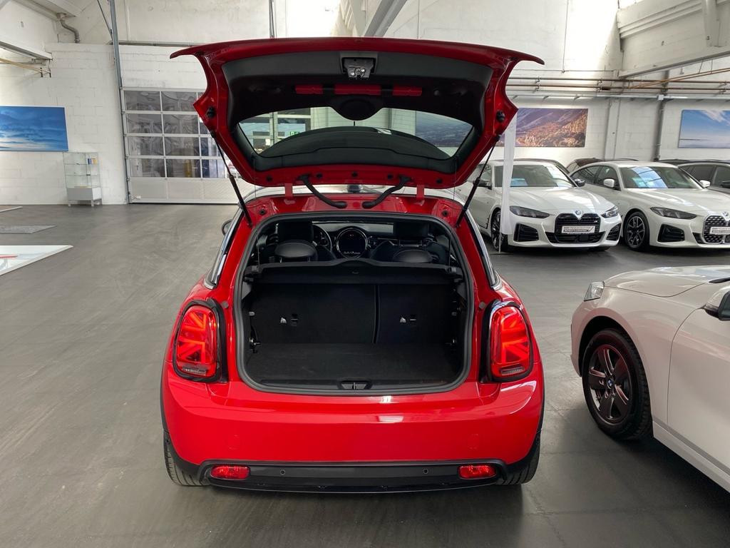 Mini Mini Electric