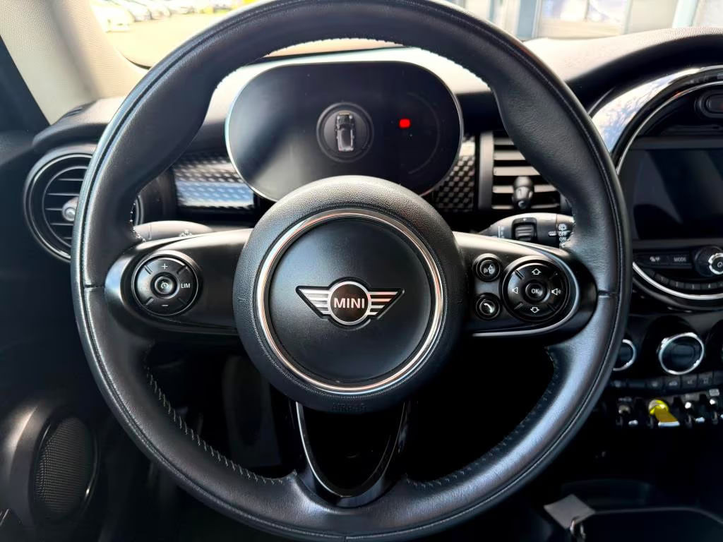 Mini Mini Electric